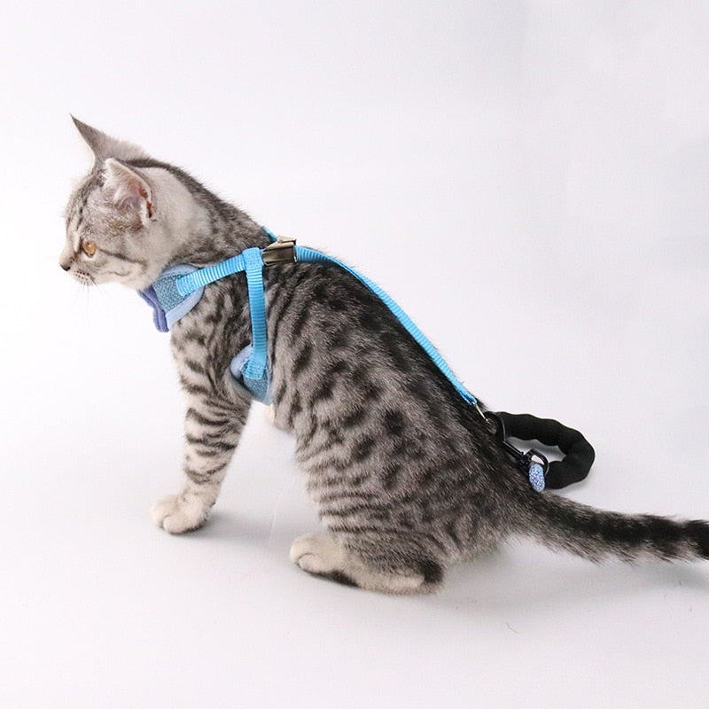 Pet Chest And Back Harness Leash