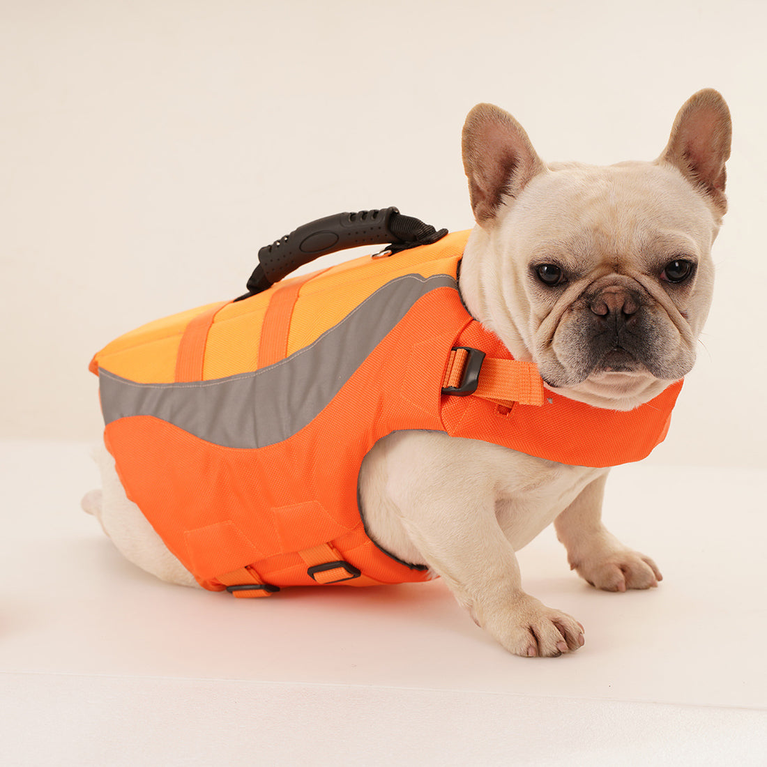 Reflective Pet Swimsuit And Life Jacket