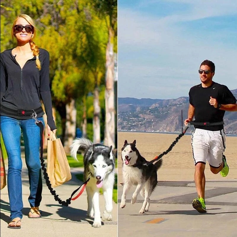 Pet Adjustable Harness Collar Jogging Leash
