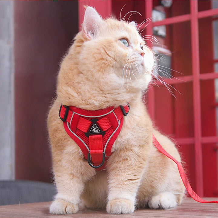 Pet Vest Style Chest Harness With Leash