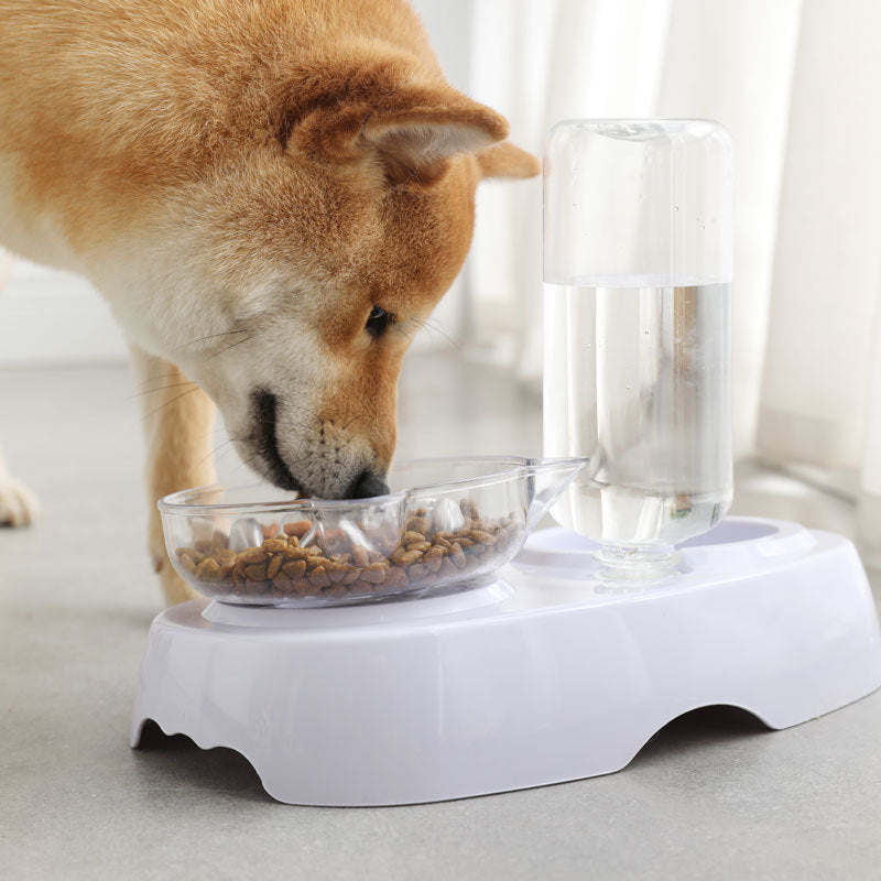 Transparent Plastic Pet Feeding And Drinking Bowl
