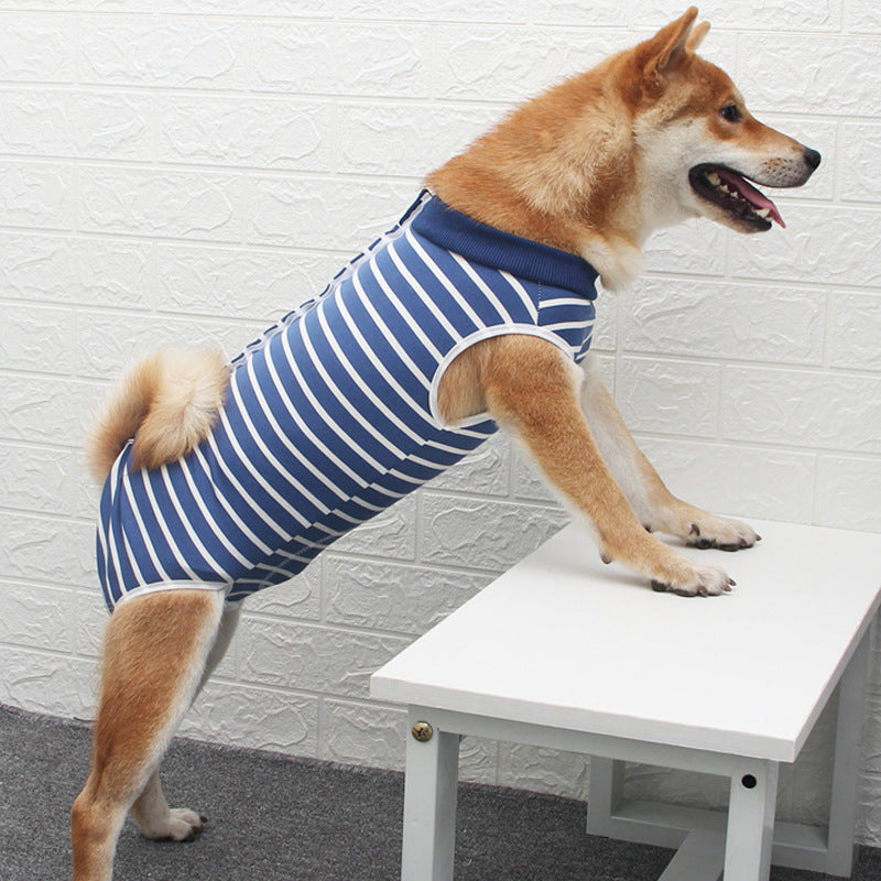 Pet Fashion Personality Multi Color Clothing