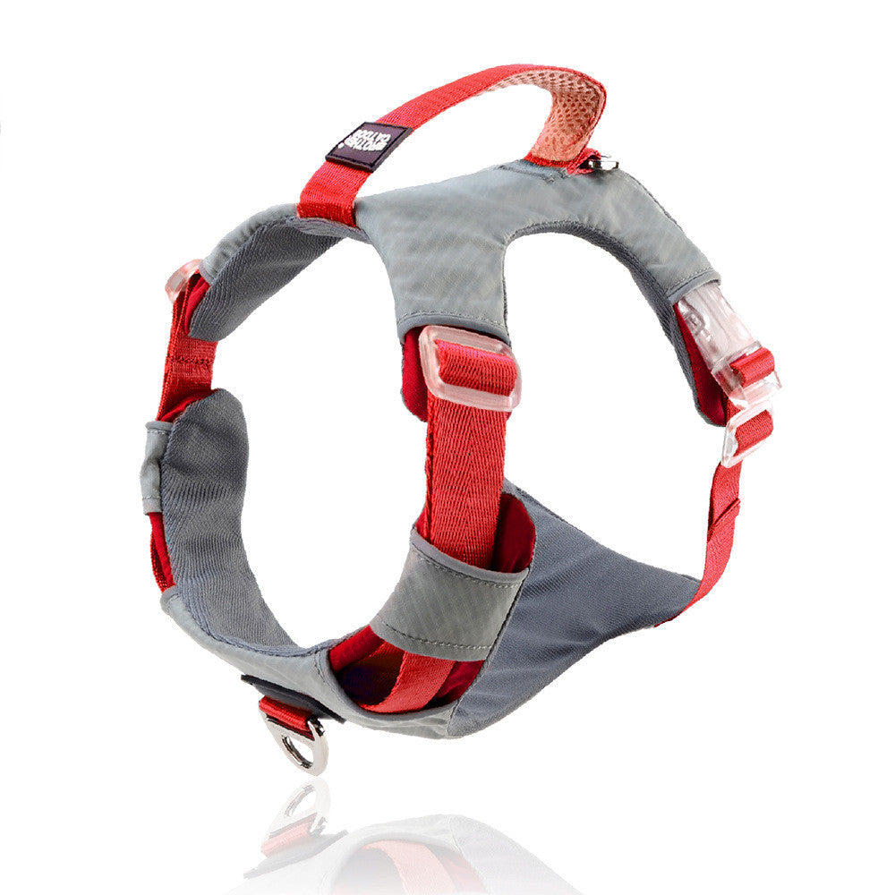 Pet Chest Strap Leash With Storage Bag
