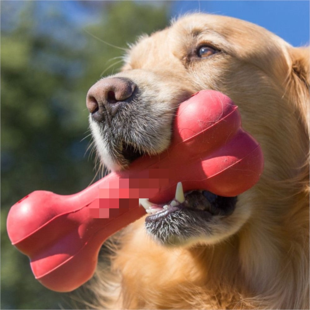 Pet Bite Resistant Rubber Chew Teeth Grinding Toy