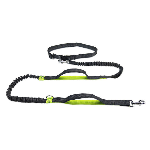 Pet Adjustable Harness Collar Jogging Leash