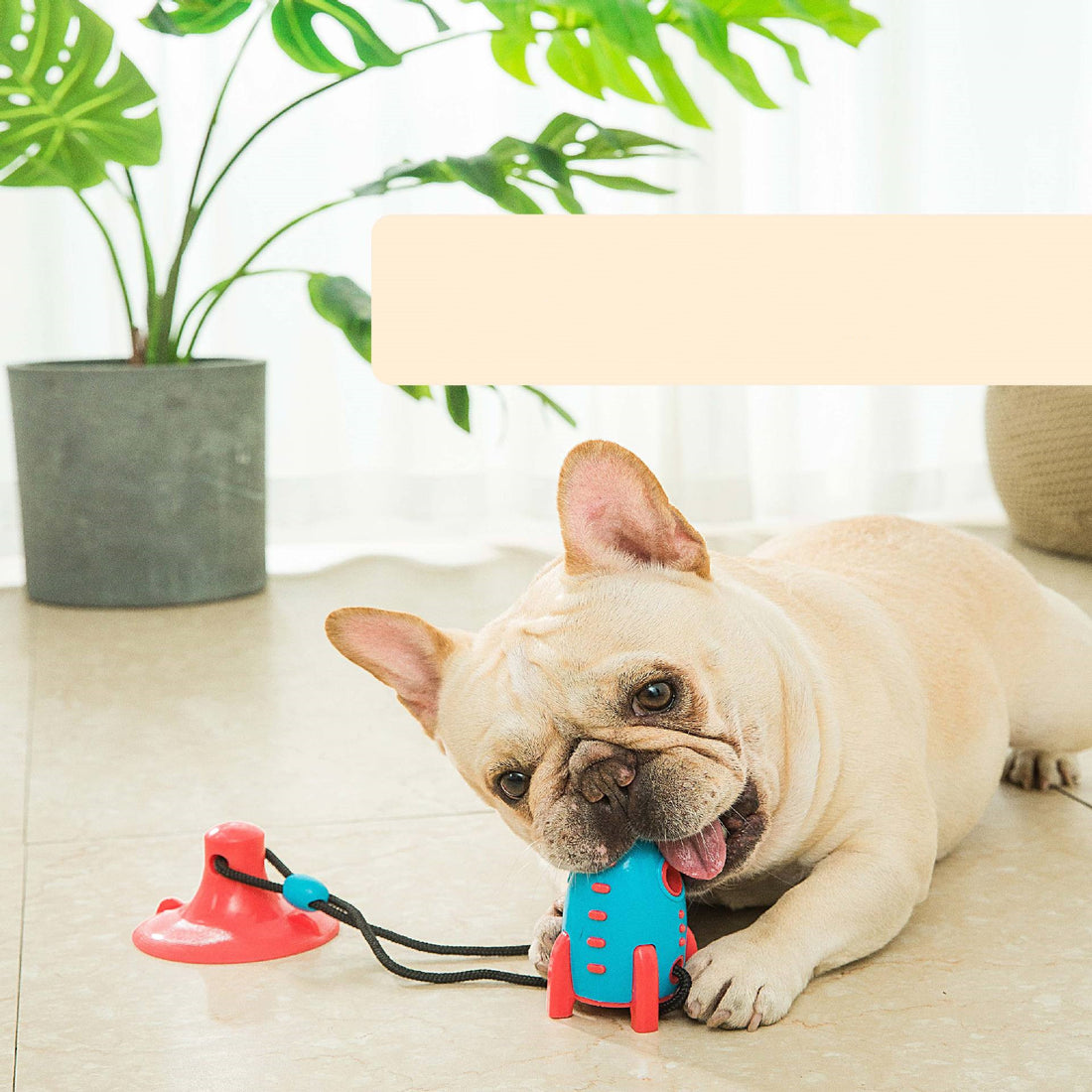Pet Rocket Food Dispensing Bite Resistant Toy