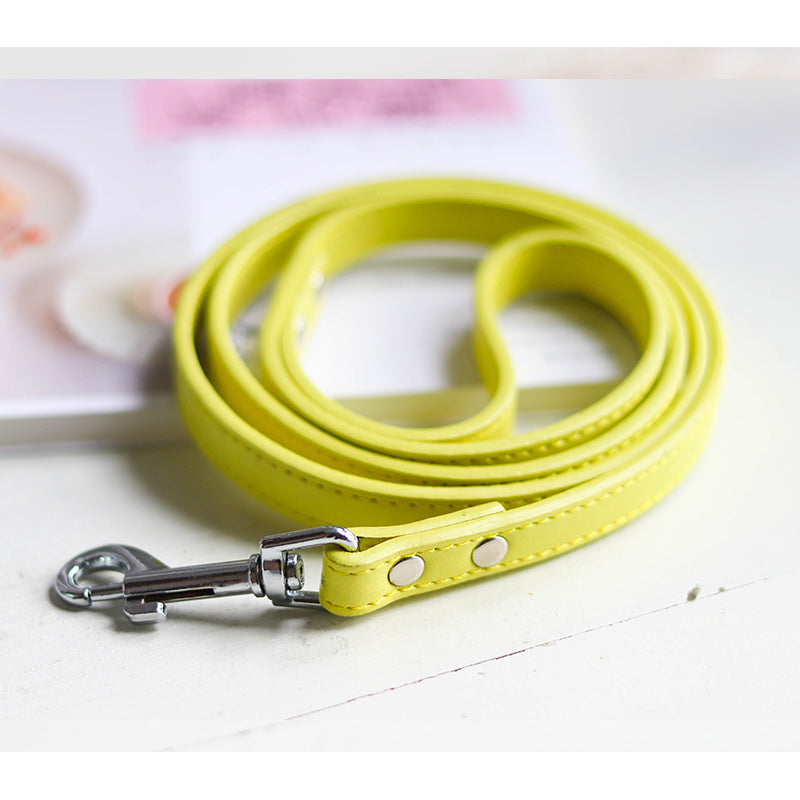 Pet Collar Leash Set