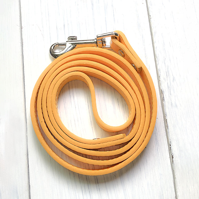 Pet Collar Leash Set