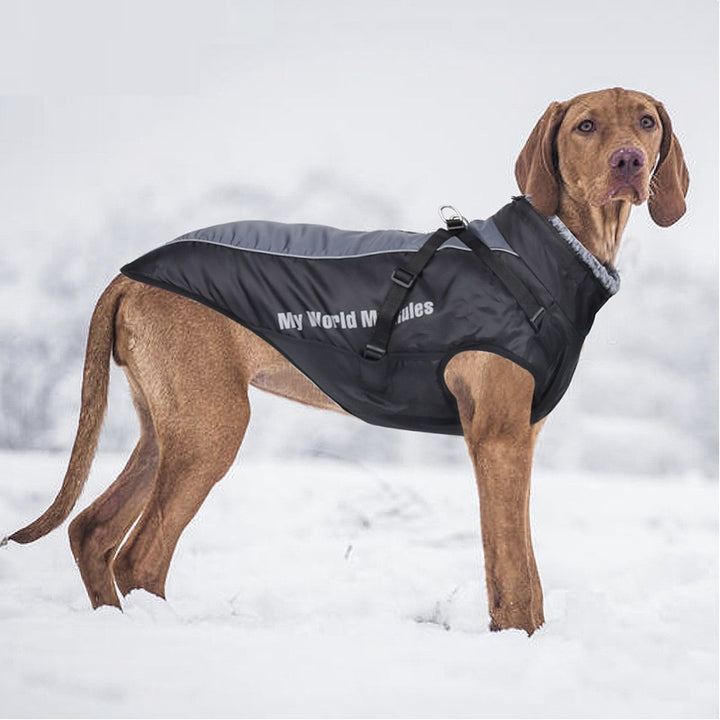 Pet Waterproof Reflective Winter Jacket For Outdoor Wear
