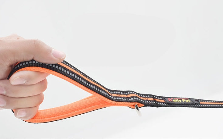Nylon Retractable Assisted Pet Leash For Outdoor Use