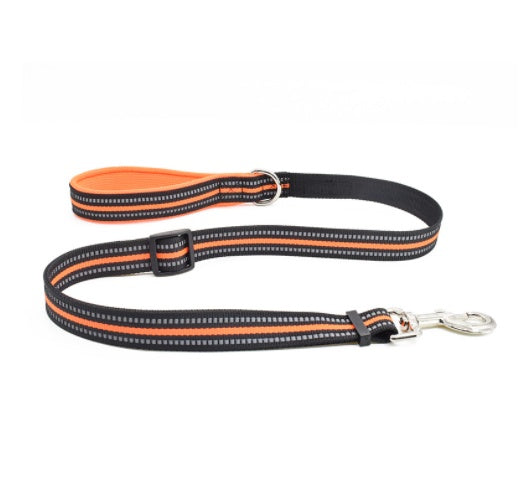Nylon Retractable Assisted Pet Leash For Outdoor Use