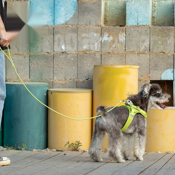 Colorful Sliding Adjustable Pet Leash