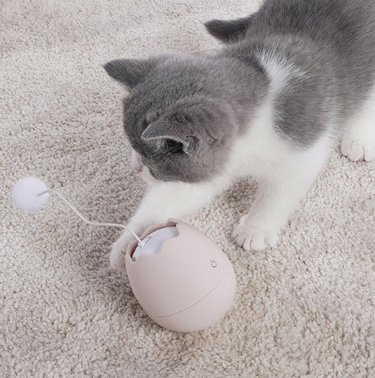 Pet Funny Interactive Entertainment Toy