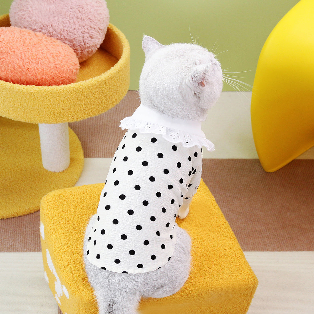 Pet Blue Ragdoll T-Shirt Clothing