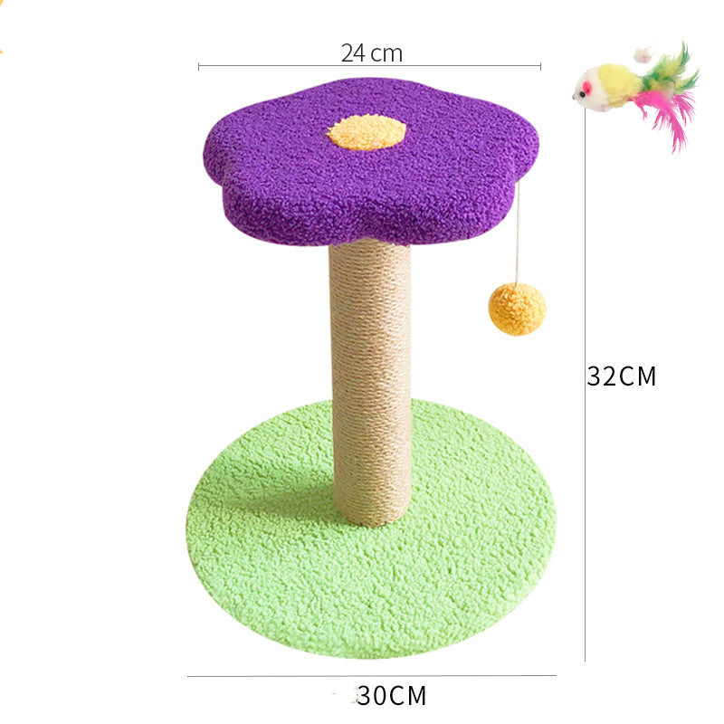 Pet Claw Grinding Teasing Interactive Toy