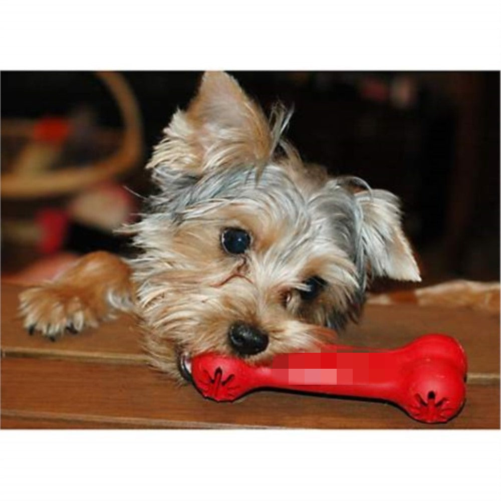 Pet Bite Resistant Rubber Chew Teeth Grinding Toy