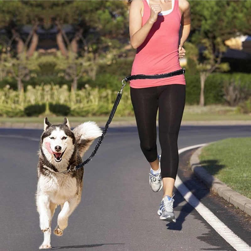 Pet Adjustable Harness Collar Jogging Leash