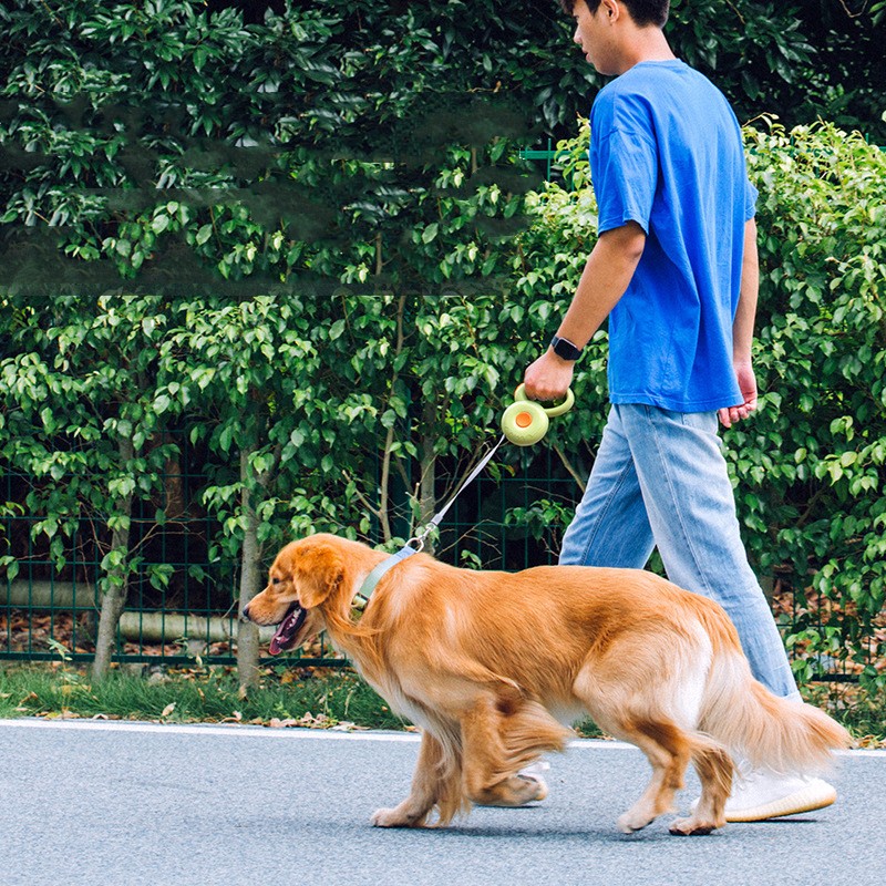 Pet Retractable Reflective Leash Rope