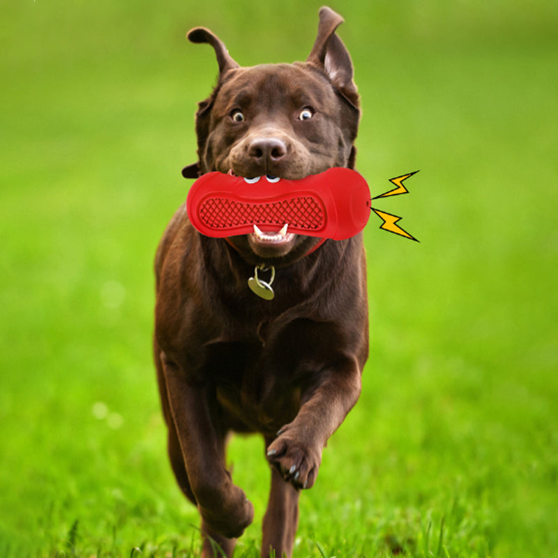 Pet Vocal Rugby Natural Rubber Chew Teething Toy