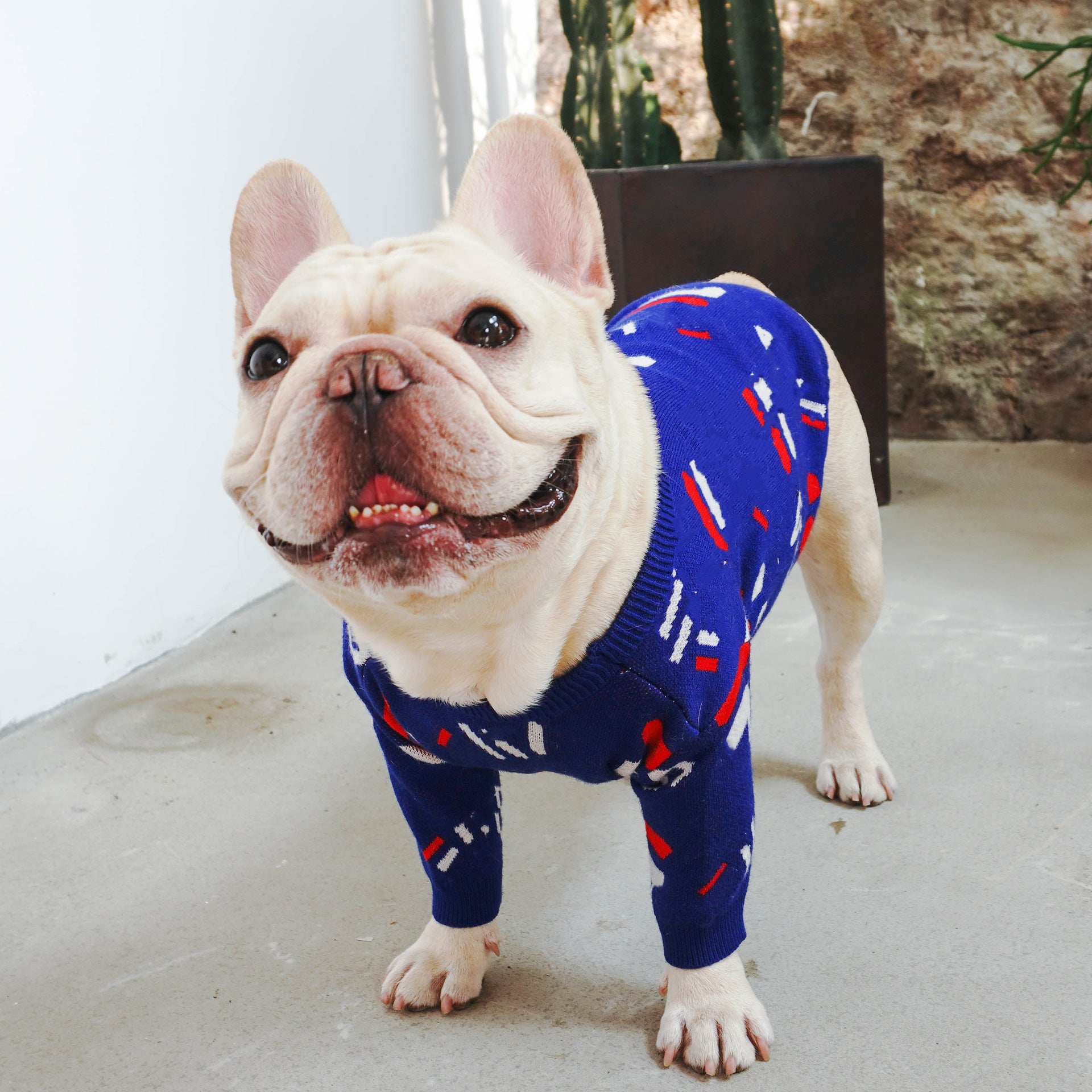 Pet Sweater Clothing