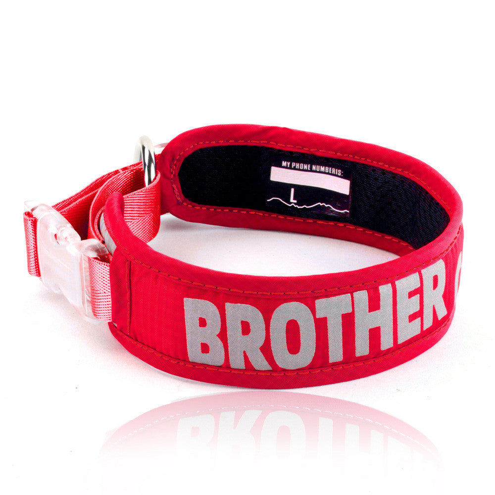 Pet Chest Strap Leash With Storage Bag