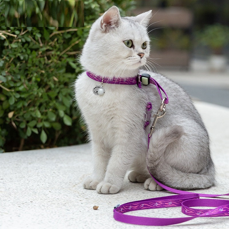 Pet Bell Chest Harness With Leash Vest Package