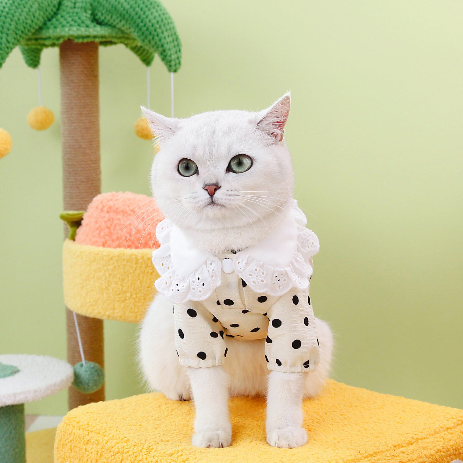 Pet Blue Ragdoll T-Shirt Clothing