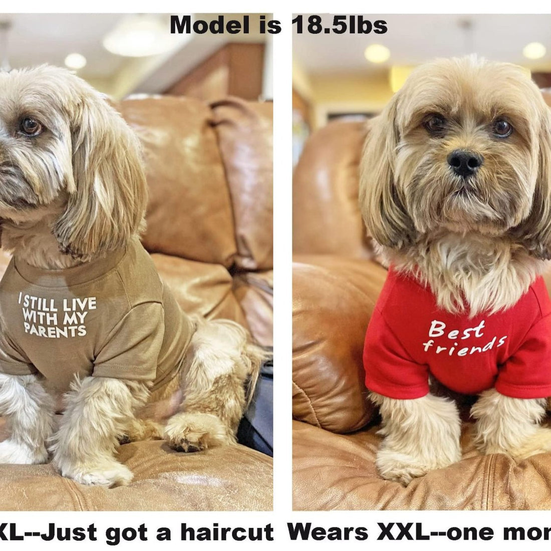 Pet Round Neck T-Shirt Clothing