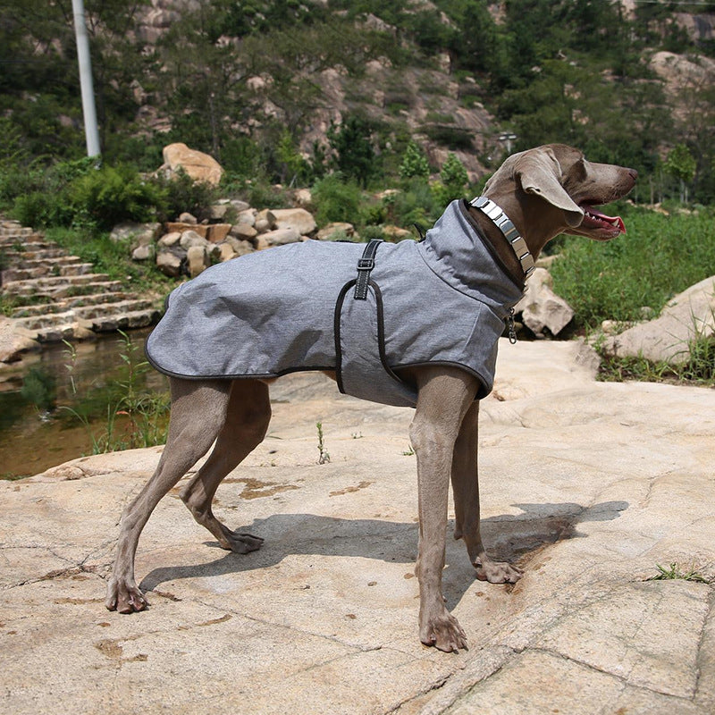 Pet Winter Outdoor Ski Shell Suit Jacket Clothing