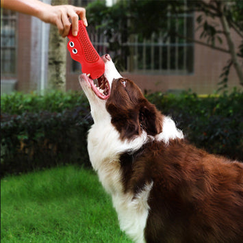 Pet Vocal Rugby Natural Rubber Chew Teething Toy