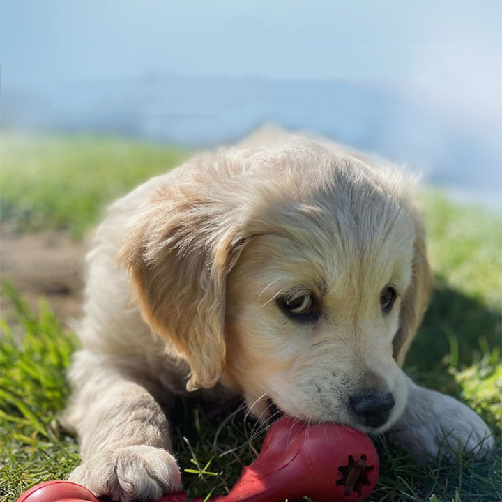 Pet Bite Resistant Rubber Chew Grinding Toy