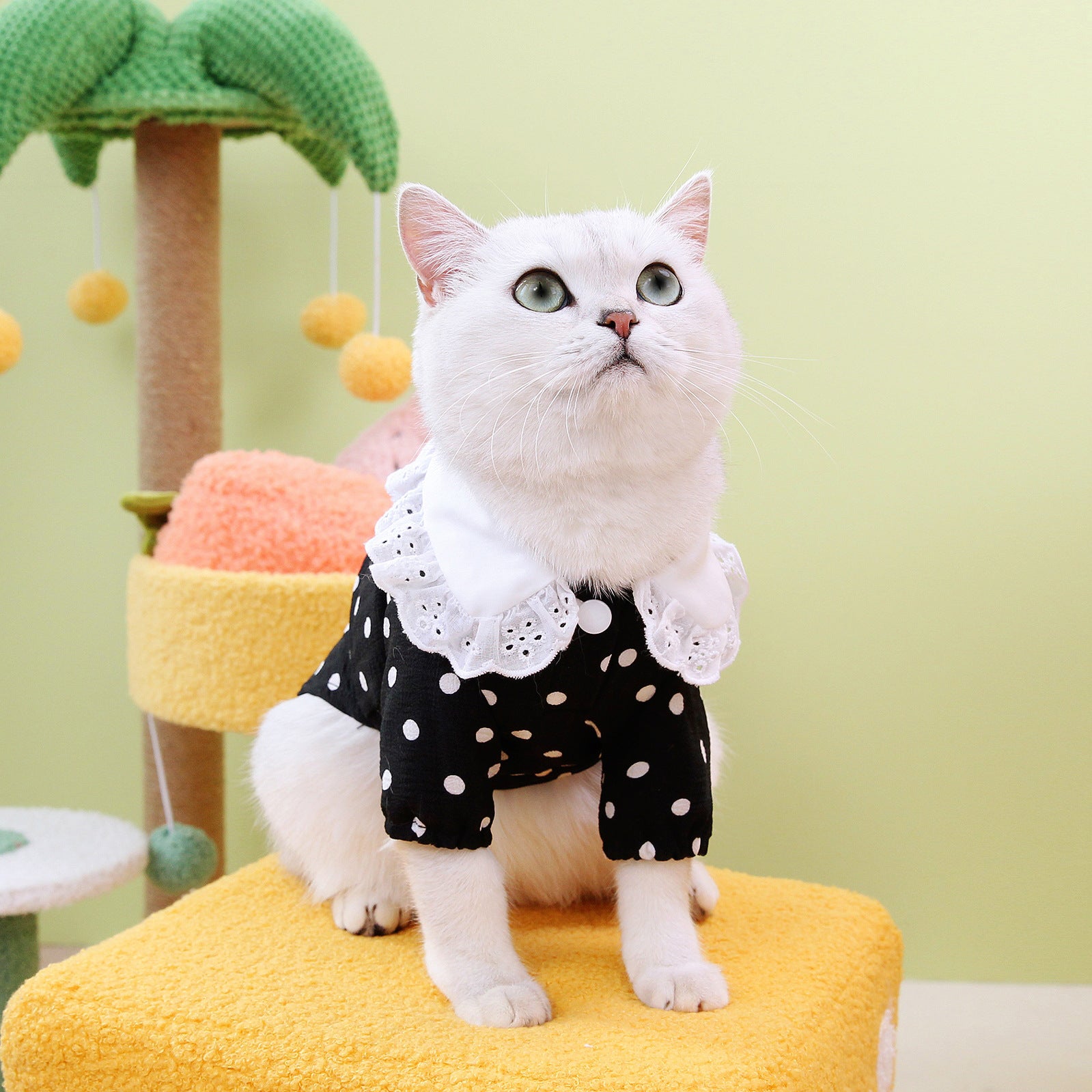 Pet Blue Ragdoll T-Shirt Clothing