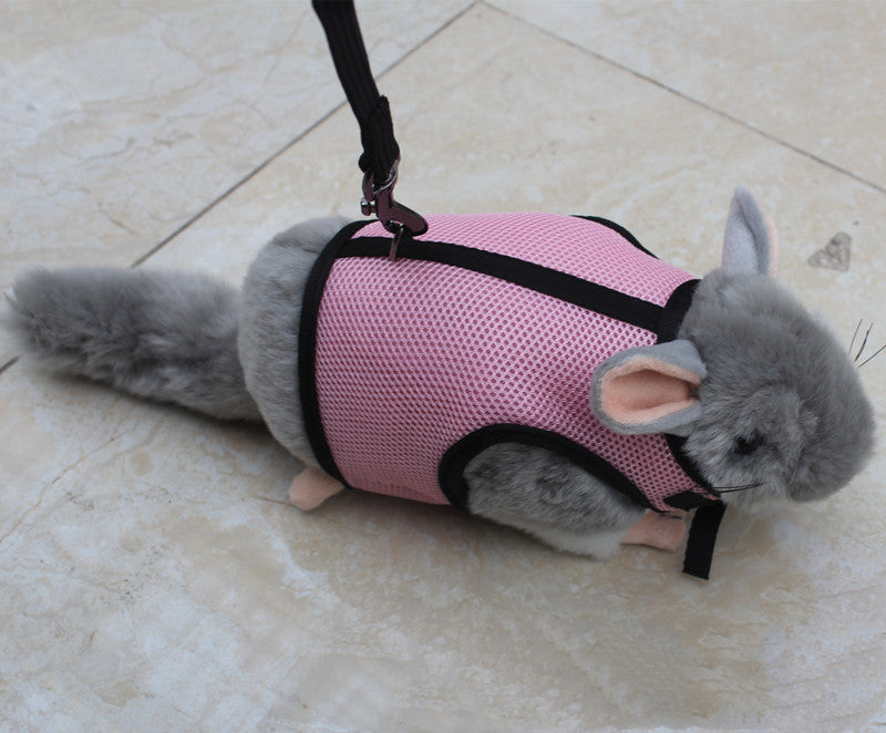 Adjustable Small Pet Leash For Safe Outdoor Walking Control