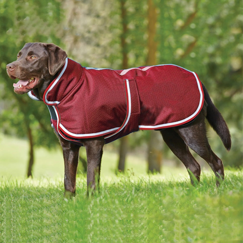 Pet Autumn Winter Warm Waterproof Leisure Jacket