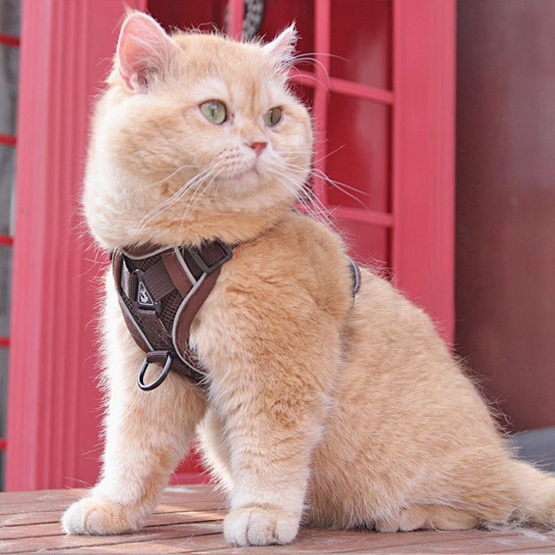 Pet Vest Style Chest Harness With Leash