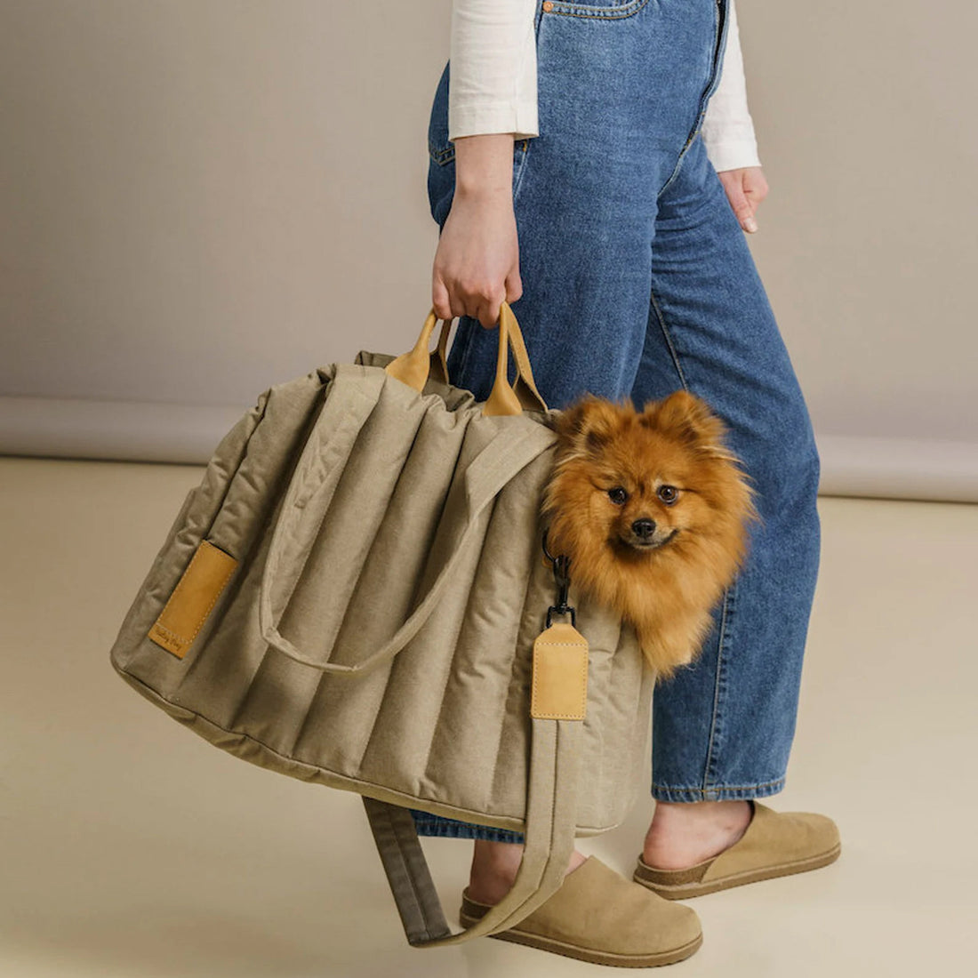 Lightweight Waterproof Pet Carrier Bag For Outdoor Travel