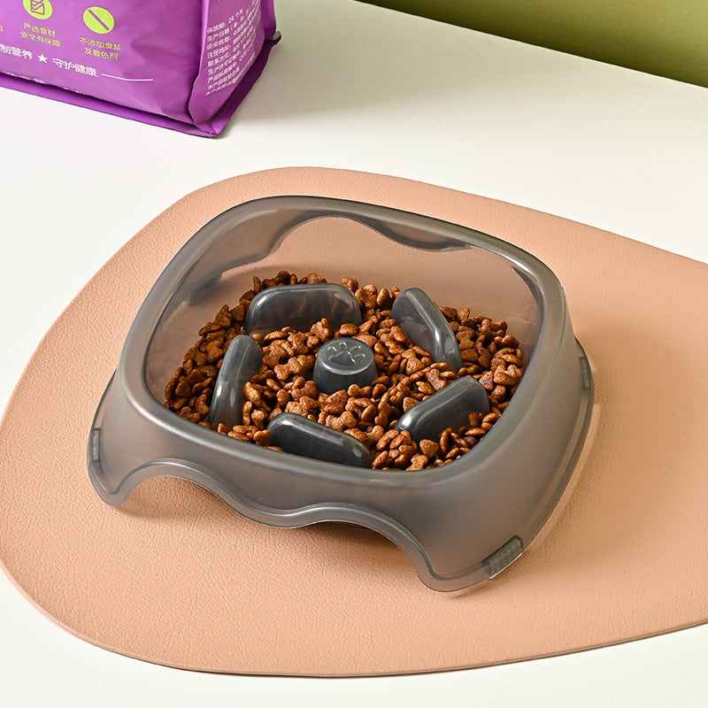 Anti-Choking Pet Slow Feeding Water Bowl