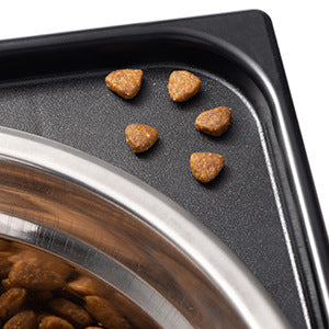 Anti-Tumble Pet Feeding Bowl With Neck Support Stand