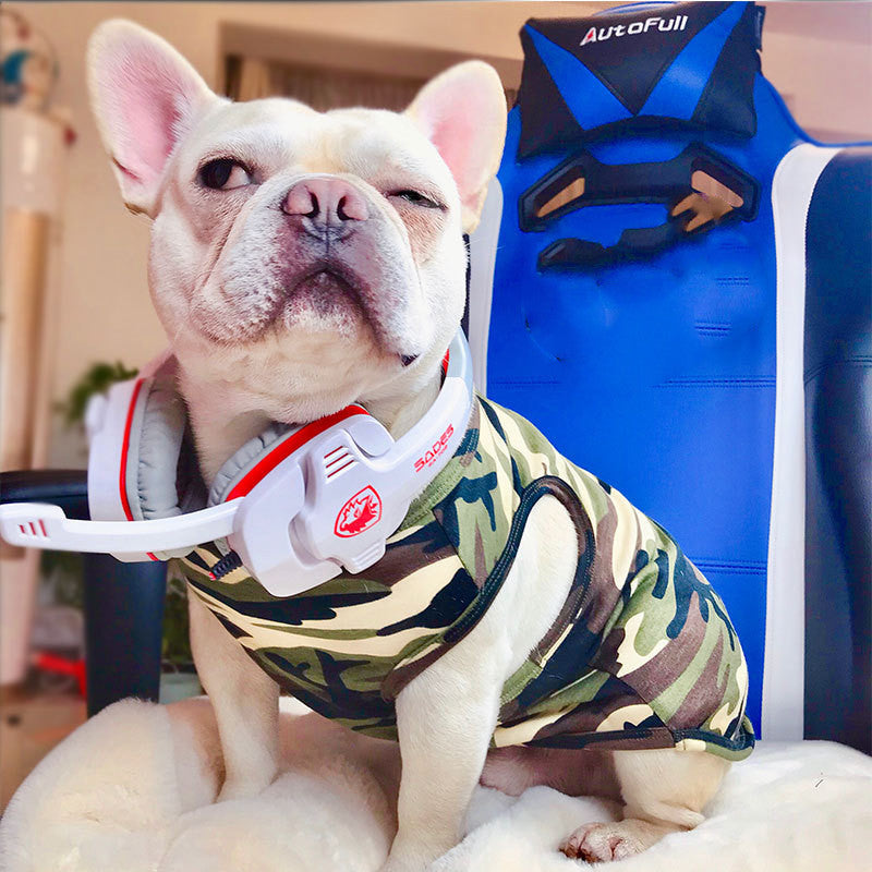 Pet Summer Fashion Personality T-Shirt Clothing