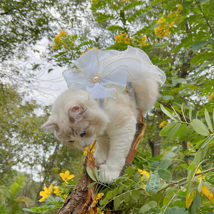 Pet Layered Yarn Universal Leash