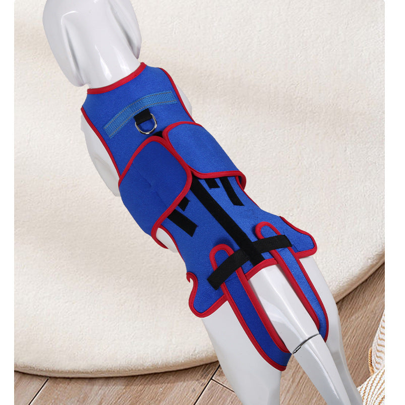 Pet Spine Support Posture Correction Jacket Clothing