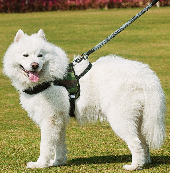 Chest Harness Pet Leash With Adjustable Fit