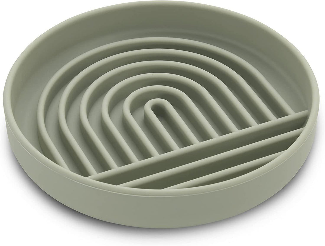 Fashion Simple Pet Slow Feeding Bowl