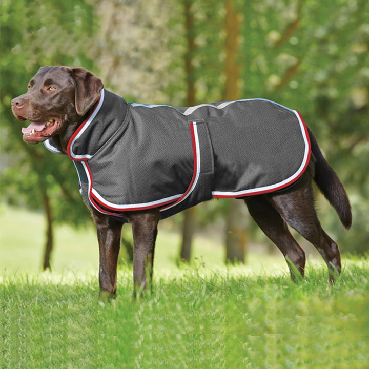 Pet Autumn Winter Warm Waterproof Leisure Jacket