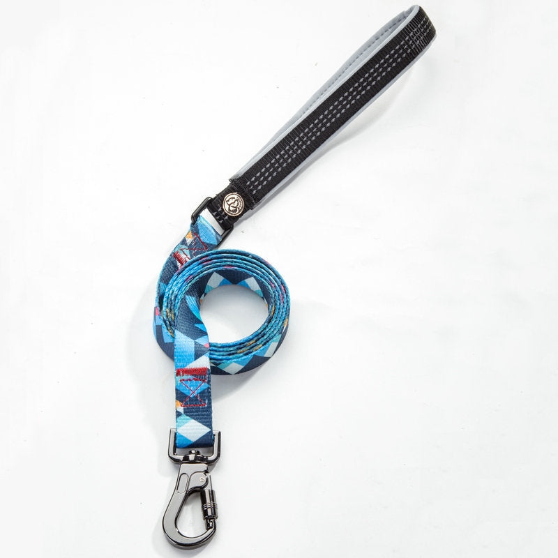 Pet Supply Leash For Walking Pets
