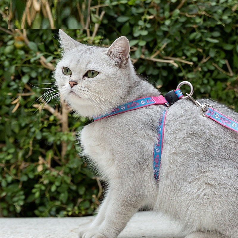 Pet Bell Chest Harness With Leash Vest Package