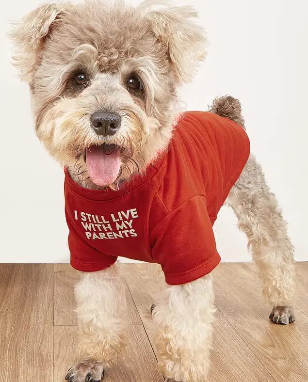 Pet Round Neck T-Shirt Clothing