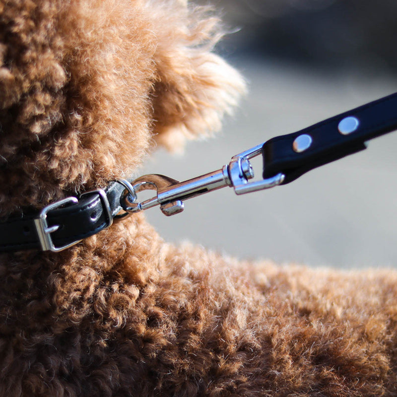 Pet Collar Leash Set