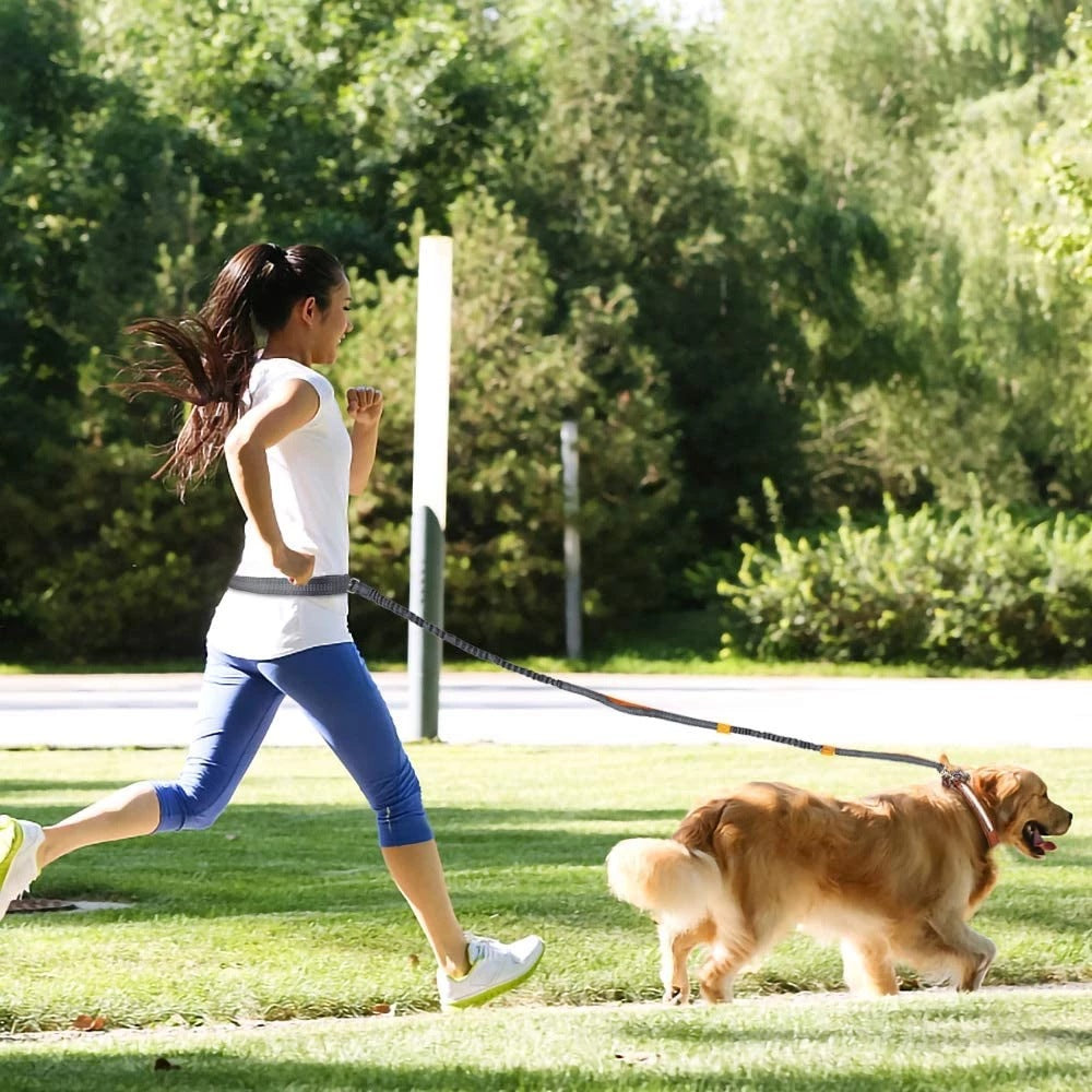 Pet Adjustable Harness Collar Jogging Leash