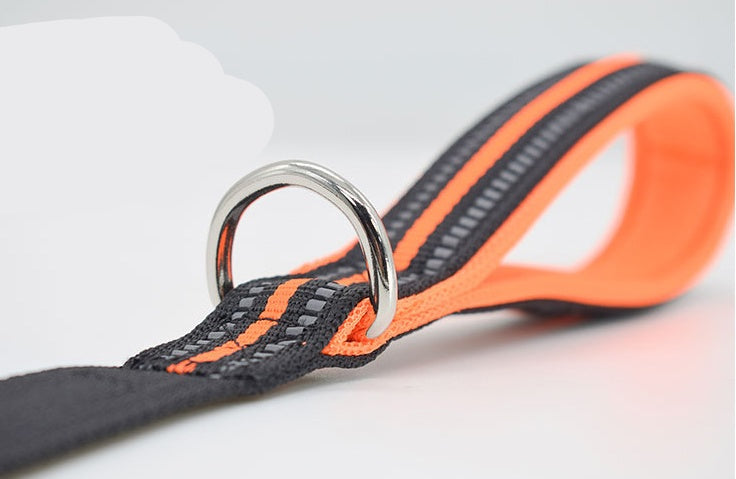 Nylon Retractable Assisted Pet Leash For Outdoor Use